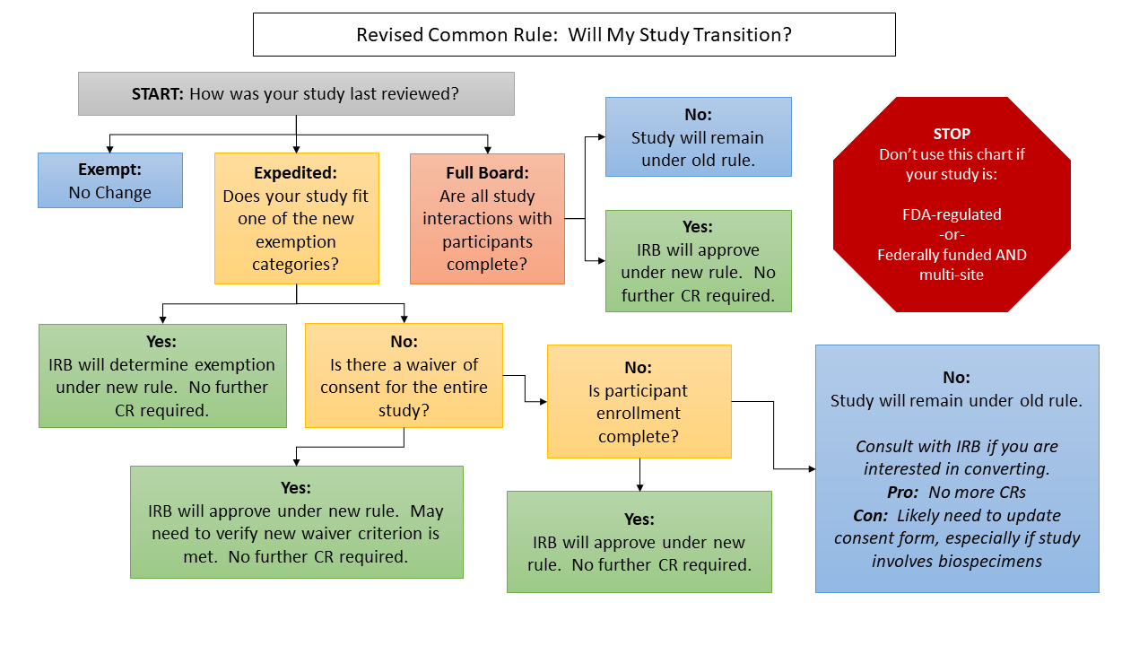 Infographic, Revised Common Rule: Will My Study Transition?